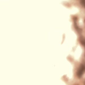 Meet your Posher, Xavier